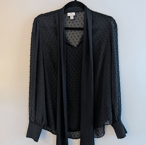 Altuzarra Swiss Dot Sheer Tie-Neck Flowy Elegant Timeless Black Sheer Blouse - Picture 3 of 13